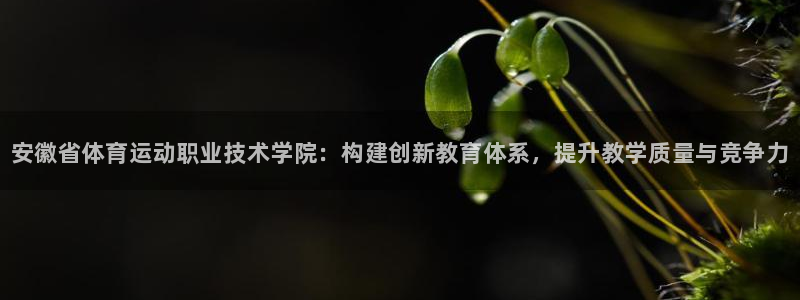 yy易游官网下载平台注册要钱吗安全吗：安徽省体育运动