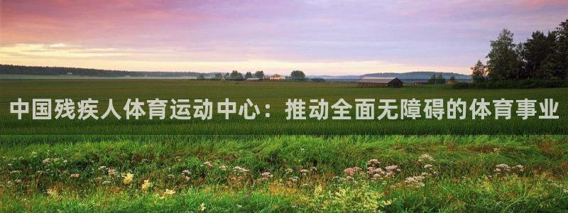 yy易游官方正版app集团官网首页网址：中国残疾人体