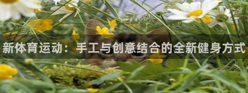 yy易游官方正版app代理：新体育运动：手工与创意结