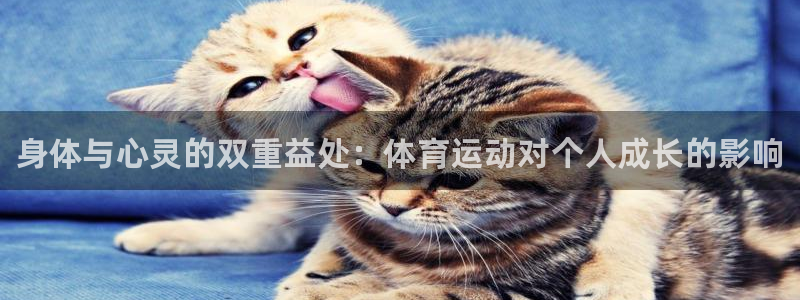 yy易游官方正版app娱乐是那个系列的台子：身体与心