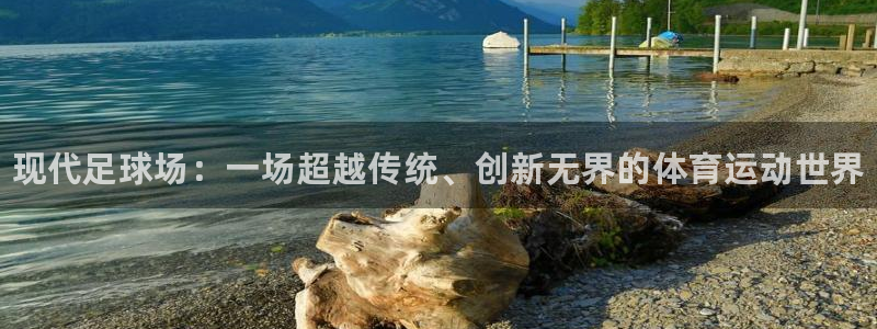 德国yy易游官方正版app集团：现代足球场：一场超越