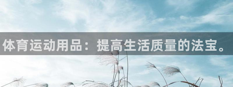 德国yy易游官方正版app集团：体育运动用品：提高生