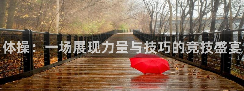 注册yy易游官方正版app：体操：一场展现力量与技巧