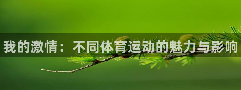 yy易游官网下载平台假的吗是真的吗吗：我的激情：不同体育运动