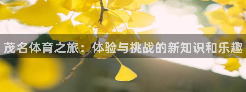 yy易游官网下载平台注册：茂名体育之旅：体验与挑战的新知识和