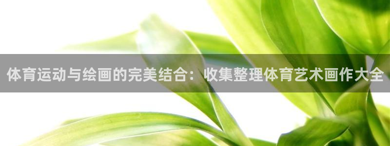 yy易游官方正版app娱乐代理怎么样：体育运动与绘画的完美结