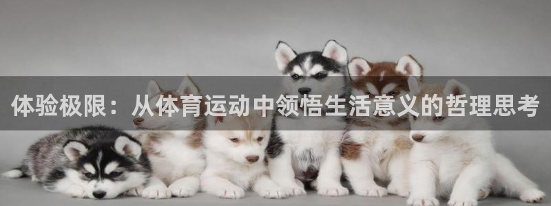 yy易游官方正版app集团官网首页网址：体验极限：从体育运动