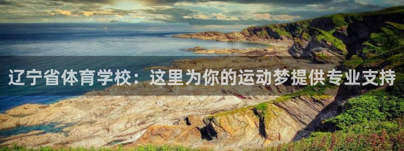 yy易游官网下载是干嘛的公司
