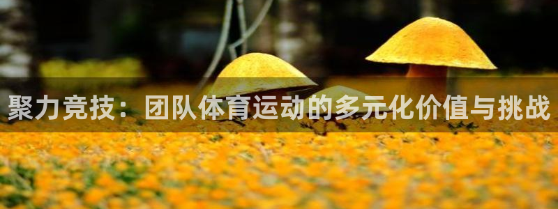 yy易游官方正版app集团官网首页网址