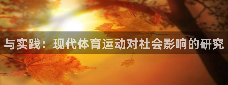 yy易游官方正版app娱乐40996：与实践：现代体育运动对