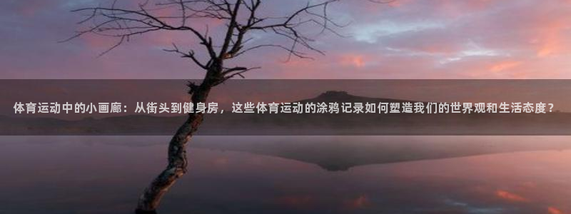 yy易游官方正版app开户：体育运动中的小画廊：从街