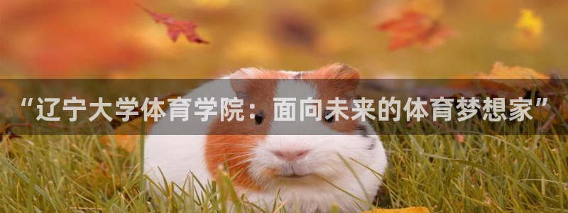 海南yy易游官网下载发展怎么样：“辽宁大学体育学院：