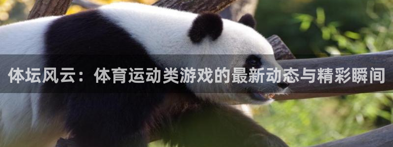 yy易游官方集团官网：体坛风云：体育运动类游戏的最新