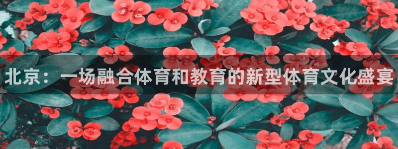 yy易游官网下载平台注册：北京：一场融合体育和教育的新型体育