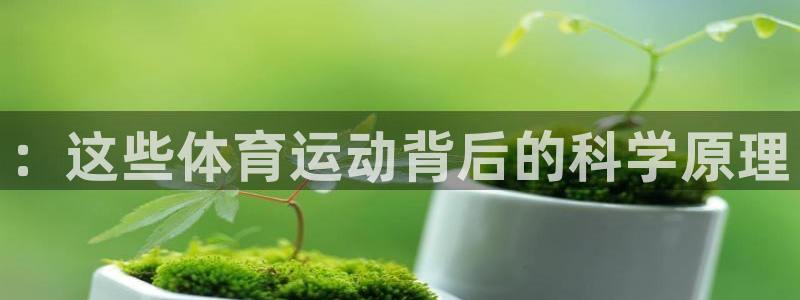 yy易游官方正版app娱乐下载