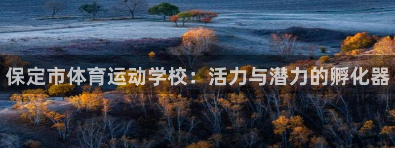 yy易游官方集团官网：保定市体育运动学校：活力与潜力的孵化器
