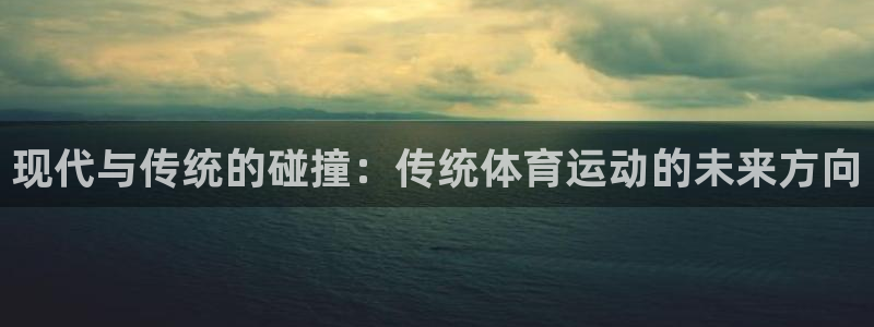 yy易游官网下载平台注册要钱吗：现代与传统的碰撞：传统体育运