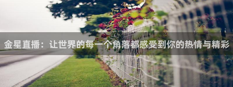 178篮球免费直播nba：金星直播：让世界的每一个角落都感受到你的热情与精彩