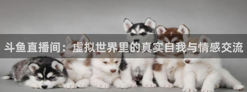 178直播nba在线：斗鱼直播间：虚拟世界里的真实自我与情感交流