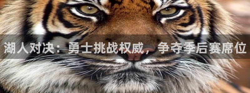 178体育直播：湖人对决：勇士挑战权威，争夺季后赛席位