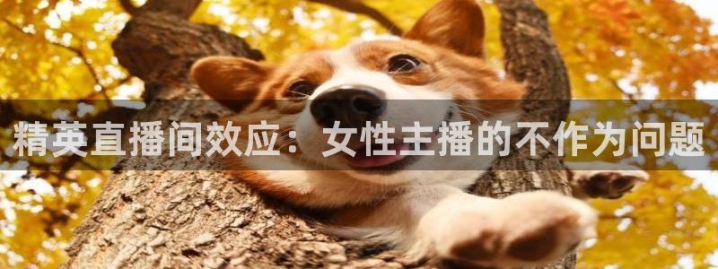 178足球直播最新版：精英直播间效应：女性主播的不作为问题